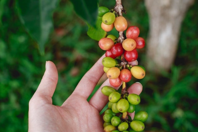rwanda 2-min